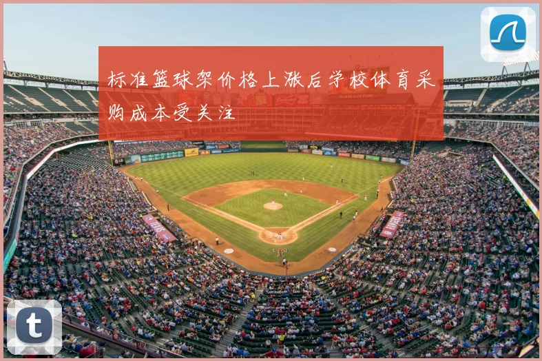 标准篮球架价格上涨后学校体育采购成本受关注