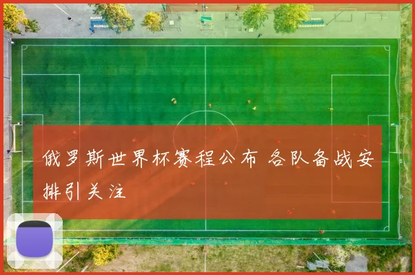 俄罗斯世界杯赛程公布 各队备战安排引关注