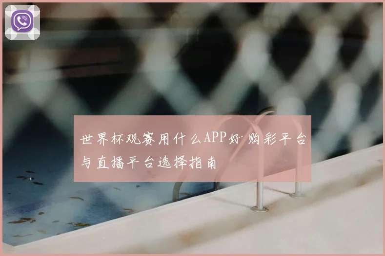 世界杯观赛用什么APP好 购彩平台与直播平台选择指南