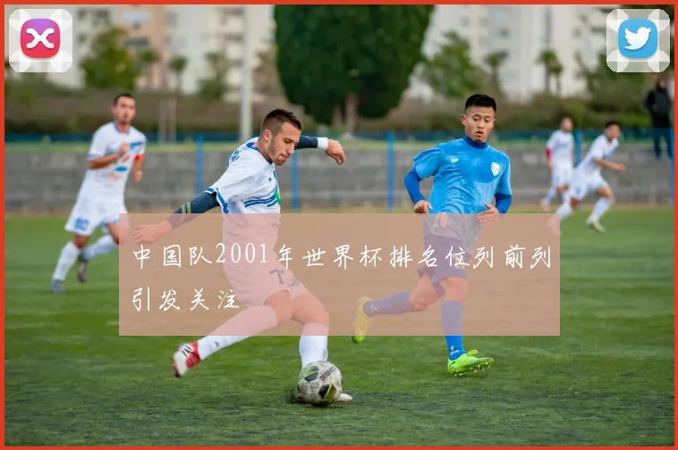 中国队2001年世界杯排名位列前列引发关注