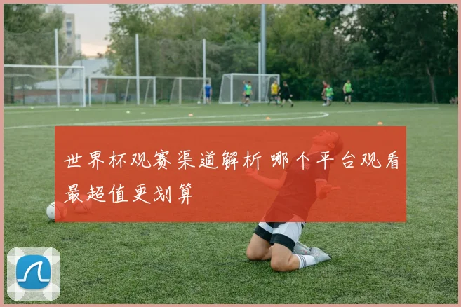世界杯观赛渠道解析 哪个平台观看最超值更划算