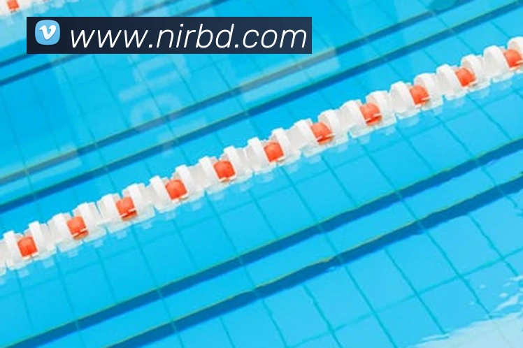 bsports官网地址发展历程